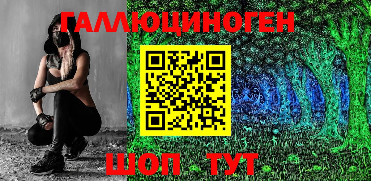 Псилоцибиновые грибы Psilocybe  Вход с VPN  Сальск 